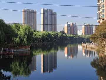 Johnson 赛场表现持续亮眼